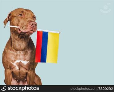Charming, adorable puppy with the national flag of Colombia. Closeup, indoors. Studio shot. Congratulations for family, loved ones, relatives, friends and colleagues. Pet care concept. Puppy with the national flag of Colombia.
