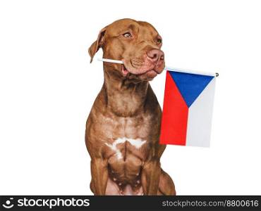 Charming, adorable puppy with the national flag of Czechia. Closeup, indoors. Studio shot. Congratulations for family, loved ones, relatives, friends and colleagues. Pet care concept. Puppy with the national flag of Czechia