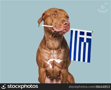 Charming, adorable puppy with the national Flag of Greece. Closeup, indoors. Studio shot. Congratulations for family, loved ones, relatives, friends and colleagues. Pet care concept. Puppy with the national Flag of Greece