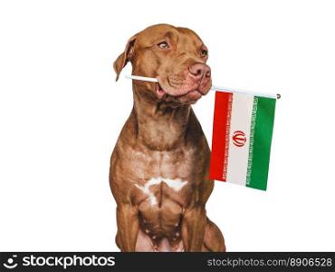Charming, adorable puppy with the national flag of Iran. Closeup, indoors. Studio shot. Congratulations for family, loved ones, relatives, friends and colleagues. Pet care concept. Charming puppy with the national flag of Iran