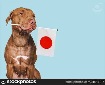 Charming, adorable puppy with the national flag of Japan. Closeup, indoors. Studio shot. Congratulations for family, loved ones, relatives, friends and colleagues. Pet care concept. Charming puppy with the national flag of Japan