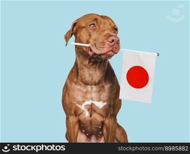 Charming, adorable puppy with the national flag of Japan. Closeup, indoors. Studio shot. Congratulations for family, loved ones, relatives, friends and colleagues. Pet care concept. Charming puppy with the national flag of Japan