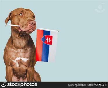 Charming, adorable puppy with the national Flag of Slovakia. Closeup, indoors. Studio shot. Congratulations for family, loved ones, relatives, friends and colleagues. Pet care concept. Charming puppy with the national Flag of Slovakia