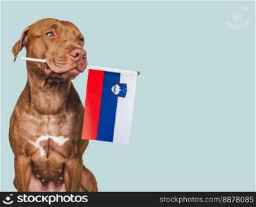 Charming, adorable puppy with the national Flag of Slovenia. Closeup, indoors. Studio shot. Congratulations for family, loved ones, relatives, friends and colleagues. Pet care concept. Puppy with the national Flag of Slovenia