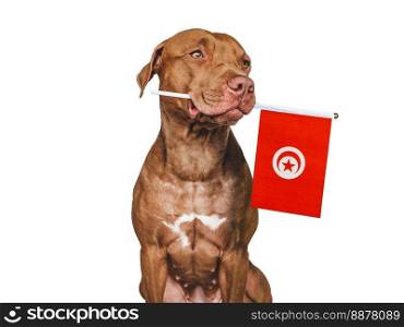 Charming, adorable puppy with the Turkish Flag. Closeup, indoors. Studio shot. Congratulations for family, loved ones, relatives, friends and colleagues. Pet care concept. Charming, adorable puppy with the Turkish Flag