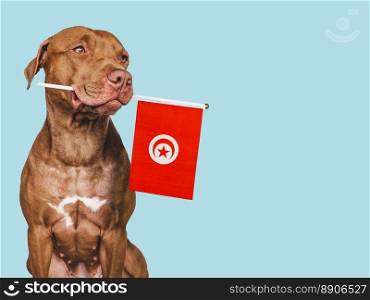 Charming, adorable puppy with the Turkish Flag. Closeup, indoors. Studio shot. Congratulations for family, loved ones, relatives, friends and colleagues. Pet care concept. Charming, adorable puppy with the Turkish Flag