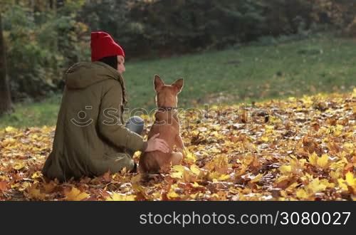 Charming hipster woman in trendy clothes and her dog sitting on yellow fallen leaves in the park enjoying beautiful autumn landscape. Back view. Gorgeous long brown hair girl stroking her cute doggy in autumn park. Slow motion.