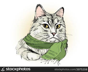 Charming male cat with scarf, hand drawing vector illustration. Charming male cat , hand drawing