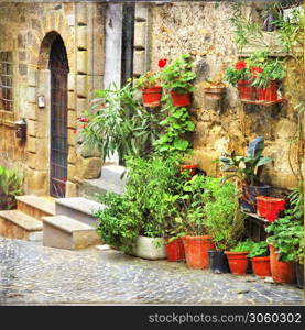 Charming old medieval villages of Italy with typical floral narrow streets. Spello , Umbria