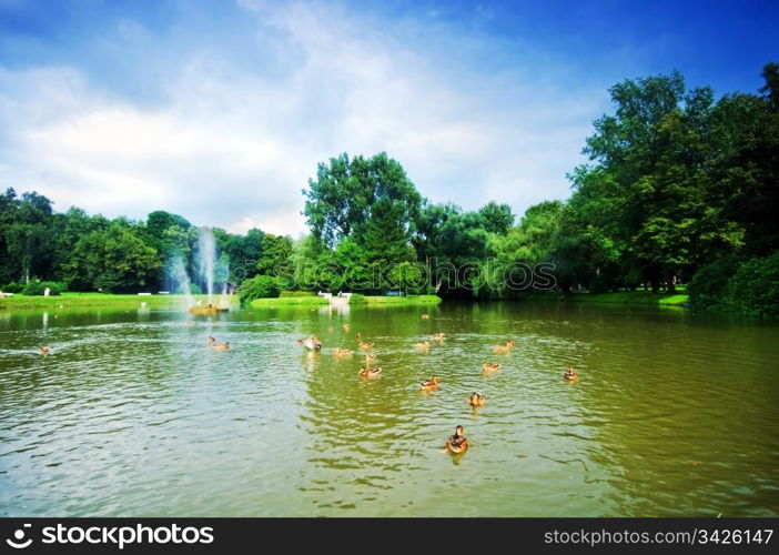 Charming summer park with pond