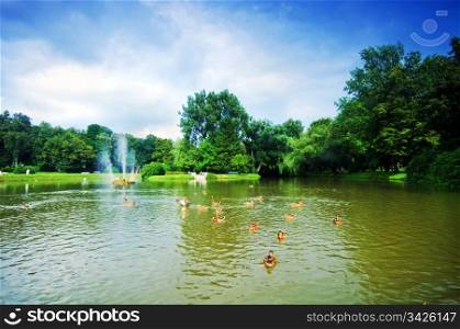 Charming summer park with pond