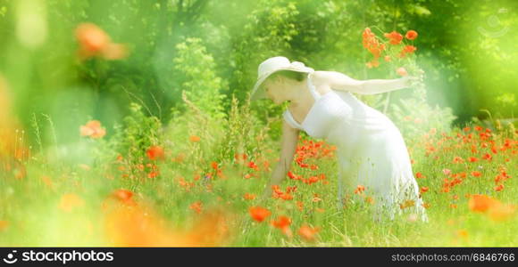 Charming young woman collects red flowers in a meadow.She is dressed in a white dress and a white hat. Small fog and sun rays