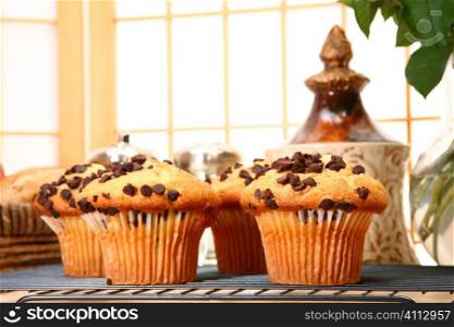 Chcolate Chip Muffins
