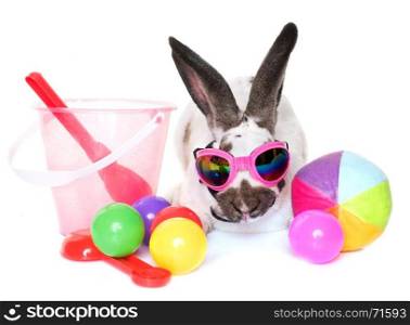 Checkered Giant rabbit and glasses in front of white background