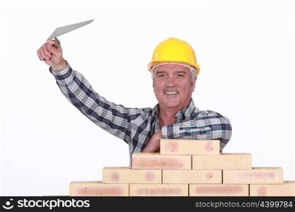 Cheerful bricklayer