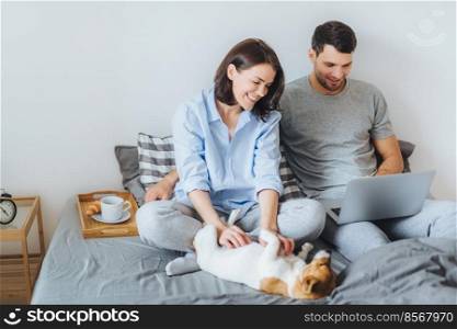 Cheerful brunette young female plays with her favourite dog in bed while her husband surfes social networks on laptop computer, spend weekends at home in bedroom. Domestic atmosphere
