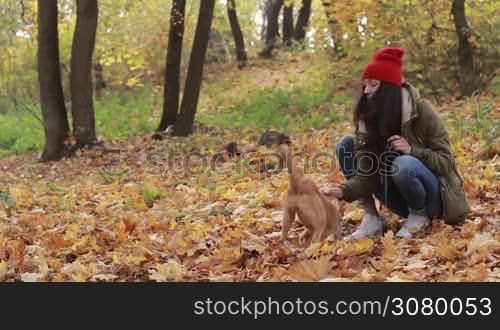 Cheerful cute dog with female owner playing in yellow foliage in public park. Positive hipster girl with loyal friend dog enjoying leisure, relaxing outdoors as the wind blowing yellow fallen leaves over colorful autumn landscape background. Slo mo.
