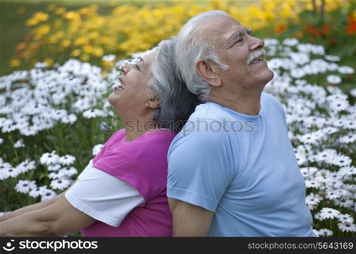 Cheerful elderly couple in a park