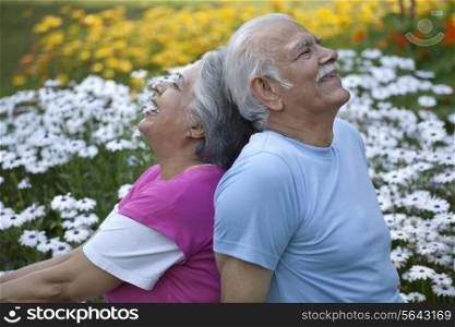 Cheerful elderly couple in a park