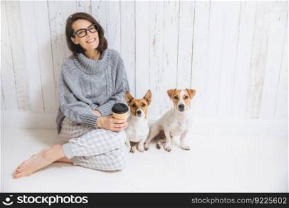 Cheerful glad brunette female dressed in warm winter knitted clothes, sits in room with her dogs, drinks takeaway coffee, poses at camera, enjoys good domestic atmosphere. Friendly relationship