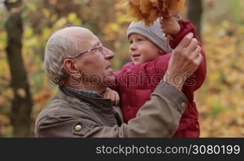 Cheerful handsome grandfather with cute grandchild playing with fallen maple leaves in public park. Adorable toddler boy and affectionate granddad having fun during a walk on warm autumn day in indian summer. Slow motion.