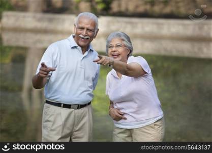 Cheerful mature woman and man pointing at something in park