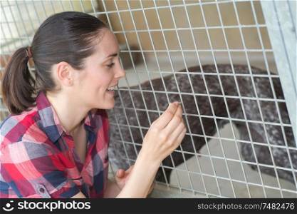 cheerful woman gives dog sweets through the fence
