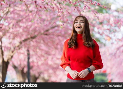 cheerful woman traveler looking cherry blossoms or sakura flower blooming in the park