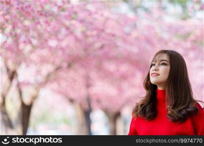 cheerful woman traveler looking cherry blossoms or sakura flower blooming in the park