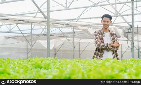 Cheerful young attractive Asia guy farmer harvesting green oak from hydroponics vegetable farm in greenhouse garden in morning. Agriculture organic for health, Vegan food, Small business concept.