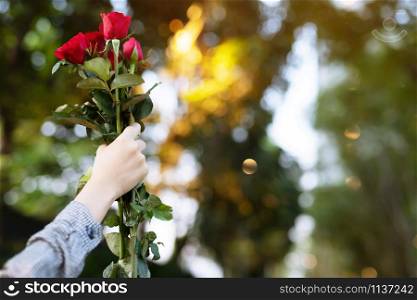 Cheerful young woman hands holding up bouquet red rose flower nature beautiful flowers over representation of love. copy space empty write messages in Valentines day, wedding or romantic love concept.