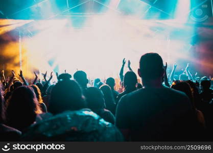 cheering crowd with raised hands at concert - music festival