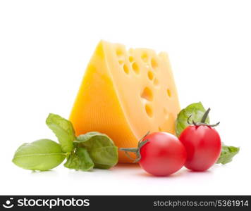 Cheese and basil leaves still life isolated on white background cutout