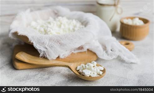 cheese appetizer. High resolution photo. cheese appetizer. High quality photo