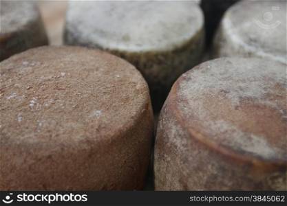 Cheese at a Market in the mountain Village of Tejeda in the centre of the Canary Island of Spain in the Atlantic ocean.. EUROPE CANARY ISLAND GRAN CANARY