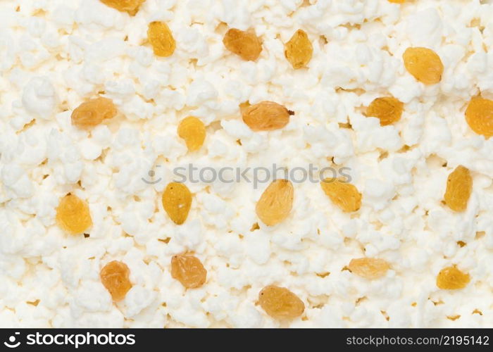 cheese background with raisins close up. cheese background with raisins