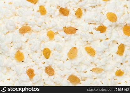 cheese background with raisins close up. cheese background with raisins