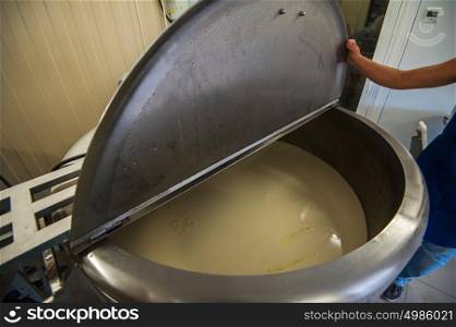 Cheese production at dairy farm. Cheese production at dairy farm, first stage - milk processing