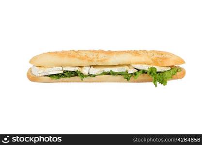 Cheese sandwich