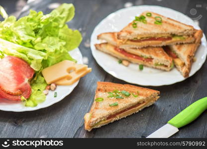 Cheese sandwich. Cheese sandwich with tomato and green lettuce