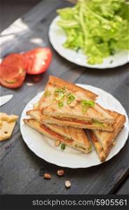 Cheese sandwich. Cheese sandwich with tomato and green lettuce