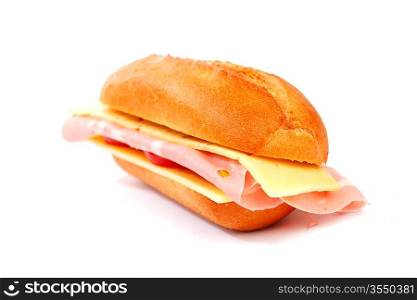 cheese sandwich isolated