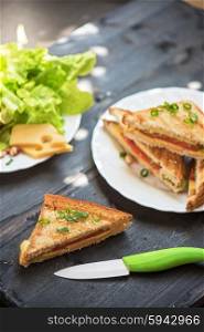Cheese sandwich photo. Cheese sandwich with tomato and green lettuce