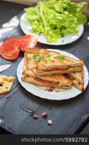 Cheese sandwich photo. Cheese sandwich with tomato and green lettuce