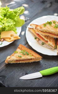 Cheese tasty sandwich. Cheese sandwich with tomato and green lettuce