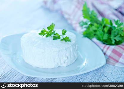 cheese with fresh parsley on the white plate