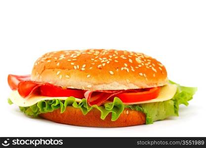 cheeseburger isolated on white