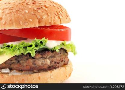 cheeseburger with copy space