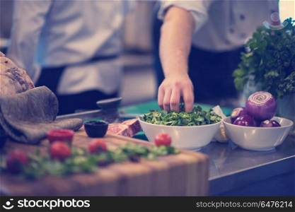 chef hand serving vegetable salad on plate in restaurant kitchen. chef hand serving vegetable salad