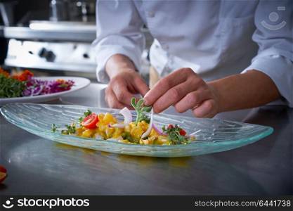 Chef hands garnishing ceviche dish in kitchen stainless steel board